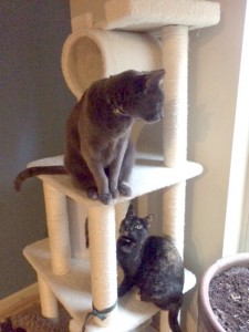 Oso & Minnie_2